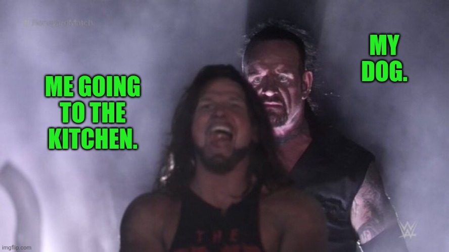 Going to the Fridge | MY DOG. ME GOING TO THE KITCHEN. | image tagged in aj styles undertaker | made w/ Imgflip meme maker
