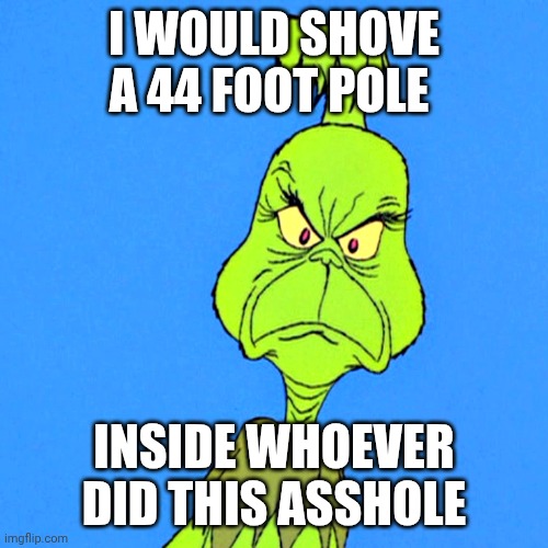 Grinch | I WOULD SHOVE A 44 FOOT POLE INSIDE WHOEVER DID THIS ASSHOLE | image tagged in grinch | made w/ Imgflip meme maker