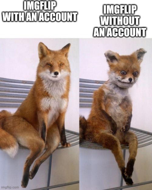 Account with vs without | IMGFLIP WITHOUT AN ACCOUNT; IMGFLIP WITH AN ACCOUNT | image tagged in fox before after | made w/ Imgflip meme maker