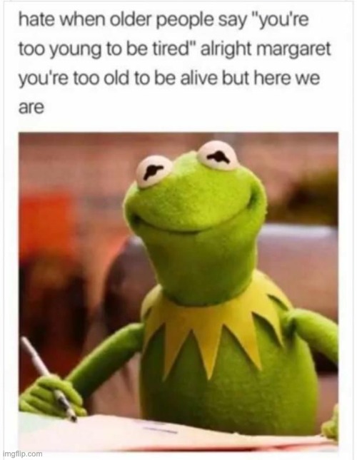 image tagged in memes,funny,kermit,stop reading the tags | made w/ Imgflip meme maker