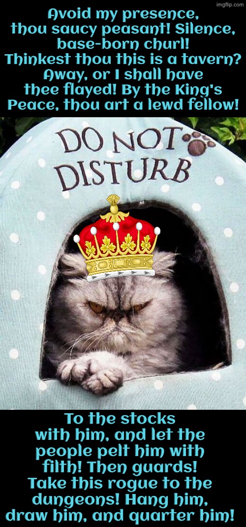 Medieval Tyrant Cat | Avoid my presence, thou saucy peasant! Silence, base-born churl! Thinkest thou this is a tavern? Away, or I shall have thee flayed! By the King's Peace, thou art a lewd fellow! To the stocks with him, and let the people pelt him with filth! Then guards! Take this rogue to the dungeons! Hang him, draw him, and quarter him! | image tagged in cats,funny cats,medieval memes,the king,peasant,superior royalty | made w/ Imgflip meme maker
