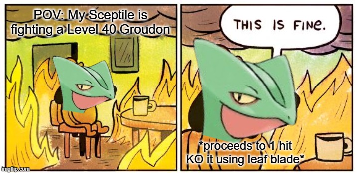 Average Starter Pokemon Lore: | POV: My Sceptile is fighting a Level 40 Groudon; *proceeds to 1 hit KO it using leaf blade* | image tagged in memes,this is fine,pokemon | made w/ Imgflip meme maker