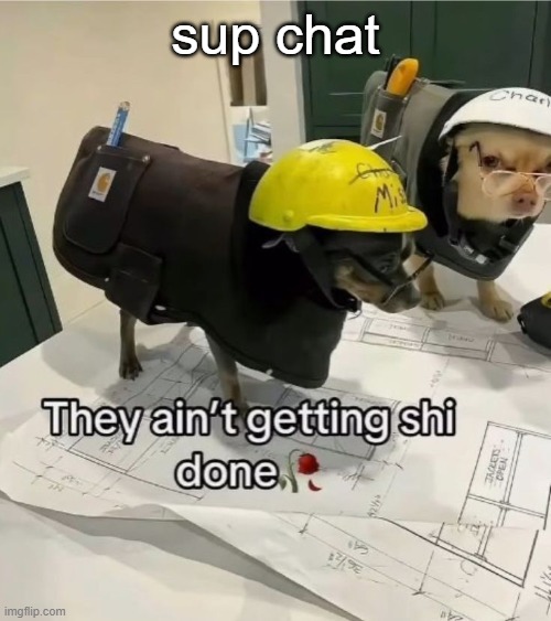 They ain't getting shi done | sup chat | image tagged in they ain't getting shi done | made w/ Imgflip meme maker