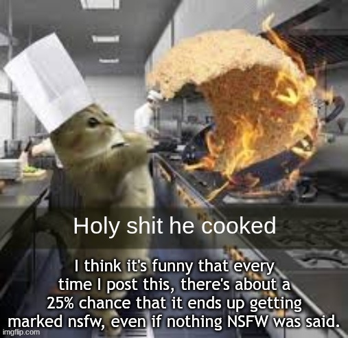 Holy shit he cooked | I think it's funny that every time I post this, there's about a 25% chance that it ends up getting marked nsfw, even if nothing NSFW was said. | image tagged in holy shit he cooked | made w/ Imgflip meme maker