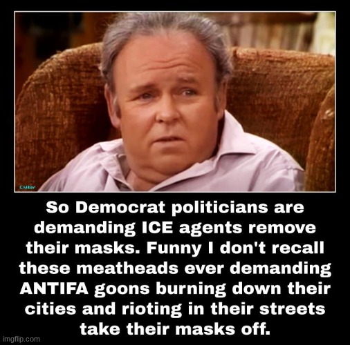 The Democrat Party IS a domestic, political terrorist organization | image tagged in democrats,traitors,domestic terrorists,politics,antifa | made w/ Imgflip meme maker
