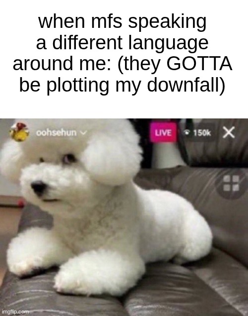 the world revolves around me | when mfs speaking a different language around me: (they GOTTA be plotting my downfall) | image tagged in bombastic side eye | made w/ Imgflip meme maker