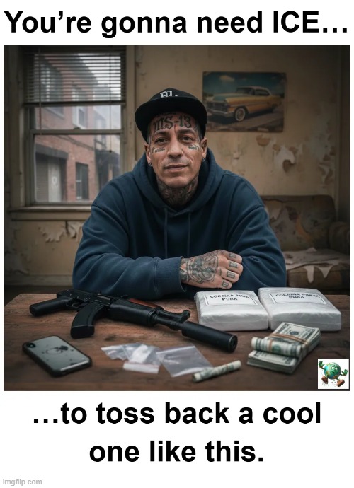 Should the government defund ICE? | image tagged in maga,conservative,illegal immigration | made w/ Imgflip meme maker