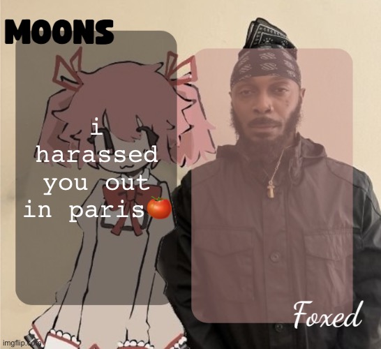 Foxed & Moons shared temp | i harassed you out in paris🍅 | image tagged in foxed moons shared temp | made w/ Imgflip meme maker