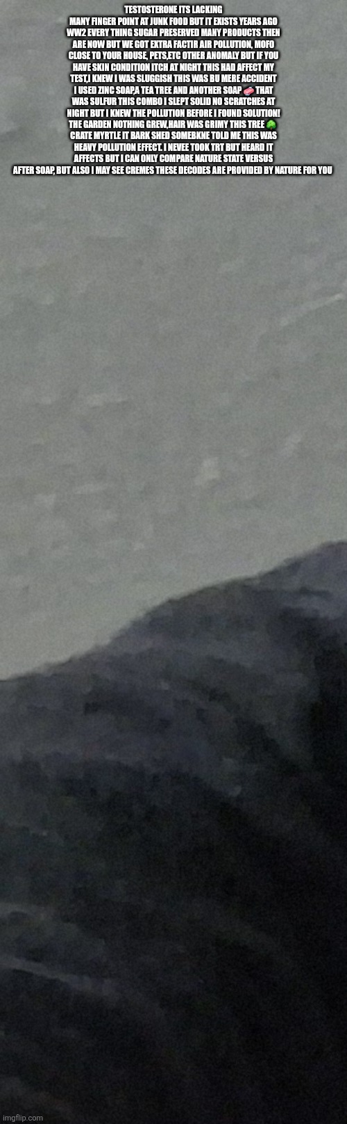 Health zone nature is your superman | TESTOSTERONE ITS LACKING MANY FINGER POINT AT JUNK FOOD BUT IT EXISTS YEARS AGO WW2 EVERY THING SUGAR PRESERVED MANY PRODUCTS THEN ARE NOW BUT WE GOT EXTRA FACTIR AIR POLLUTION, MOFO CLOSE TO YOUR HOUSE, PETS,ETC OTHER ANOMALY BUT IF YOU HAVE SKIN CONDITION ITCH AT NIGHT THIS HAD AFFECT MY TEST,I KNEW I WAS SLUGGISH THIS WAS BU MERE ACCIDENT I USED ZINC SOAP,A TEA TREE AND ANOTHER SOAP 🧼 THAT WAS SULFUR THIS COMBO I SLEPT SOLID NO SCRATCHES AT NIGHT BUT I KNEW THE POLLUTION BEFORE I FOUND SOLUTION! THE GARDEN NOTHING GREW,HAIR WAS GRIMY THIS TREE 🌳  CRATE MYRTLE IT BARK SHED SOMEBKNE TOLD ME THIS WAS HEAVY POLLUTION EFFECT. I NEVEE TOOK TRT BUT HEARD IT AFFECTS BUT I CAN ONLY COMPARE NATURE STATE VERSUS AFTER SOAP, BUT ALSO I MAY SEE CREMES THESE DECODES ARE PROVIDED BY NATURE FOR YOU | made w/ Imgflip meme maker