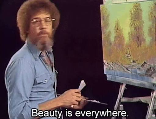 Beauty is everywhere Blank Meme Template