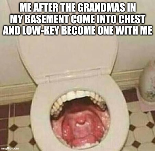 Indeed | ME AFTER THE GRANDMAS IN MY BASEMENT COME INTO CHEST AND LOW-KEY BECOME ONE WITH ME | image tagged in imgflip | made w/ Imgflip meme maker