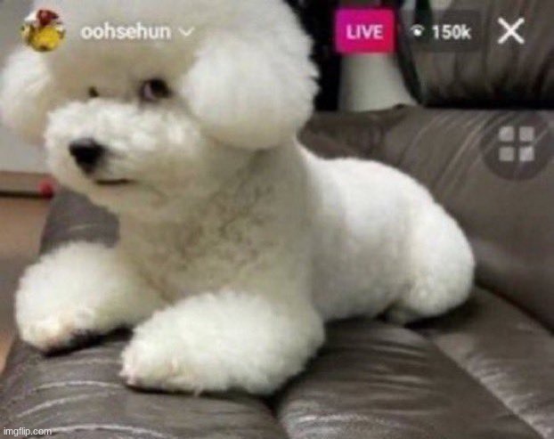 shit, idk how to continue | image tagged in bombastic side eye | made w/ Imgflip meme maker