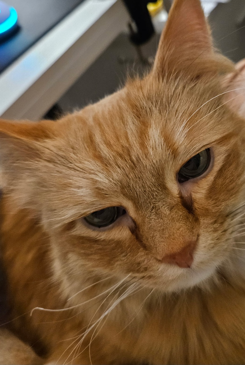 Charlie Blank Meme Template