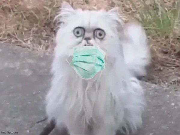 Firestar Blank Meme Template