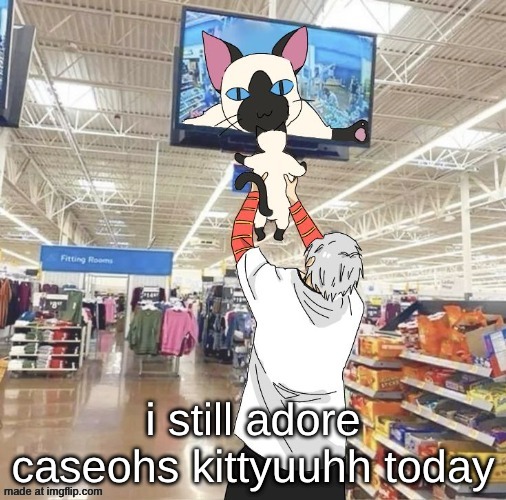 made a temp again omg | i still adore caseohs kittyuuhh today | image tagged in another one of my temps | made w/ Imgflip meme maker