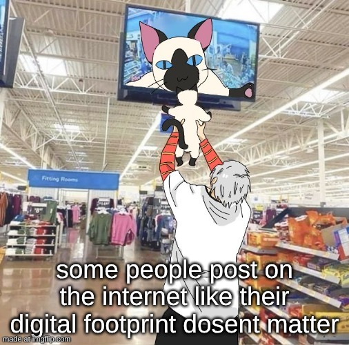 like why are u posting darkshipping videos | some people post on the internet like their digital footprint dosent matter | image tagged in another one of my temps | made w/ Imgflip meme maker