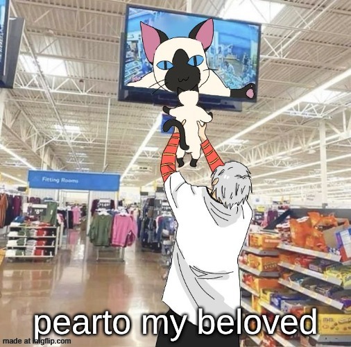 dikui and tianji temp | pearto my beloved | image tagged in another one of my temps | made w/ Imgflip meme maker