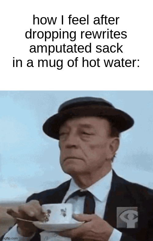 finest tea of the west | how I feel after dropping rewrites amputated sack in a mug of hot water: | made w/ Imgflip meme maker