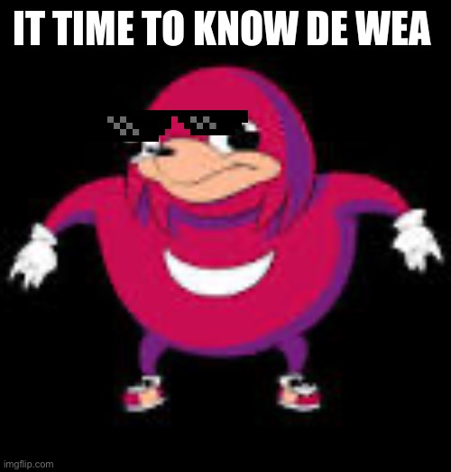 DE WAE | IT TIME TO KNOW DE WEA | image tagged in do you know de wae | made w/ Imgflip meme maker