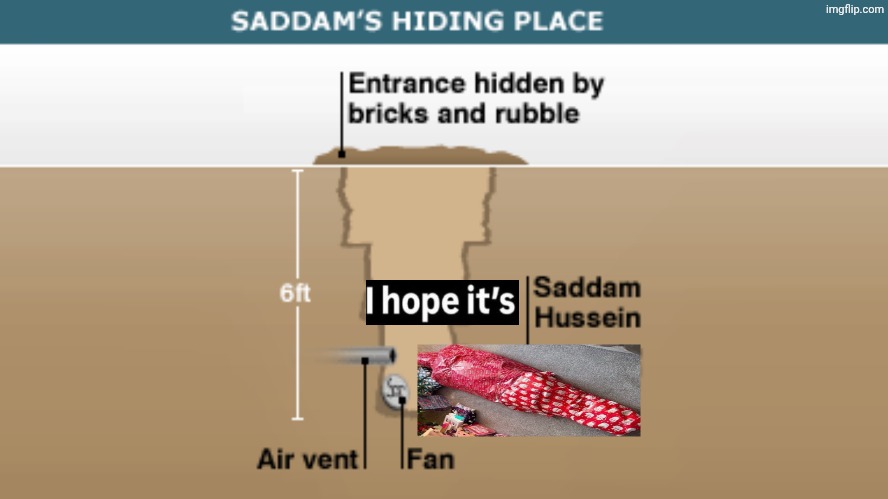 This will either get 1 upvote or 2 upvotes | image tagged in saddam's hiding place | made w/ Imgflip meme maker