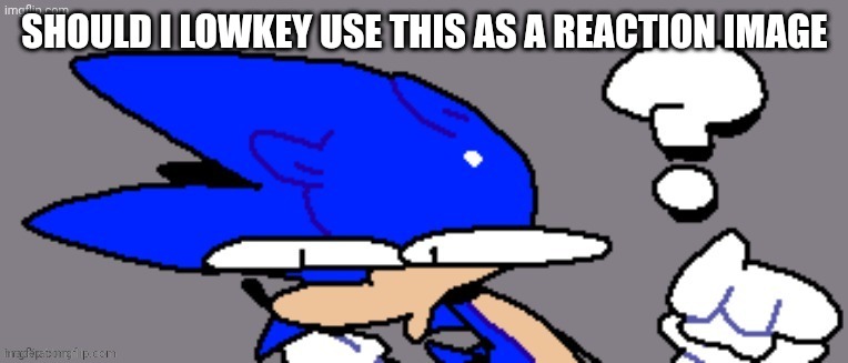 huh? | SHOULD I LOWKEY USE THIS AS A REACTION IMAGE | image tagged in huh | made w/ Imgflip meme maker