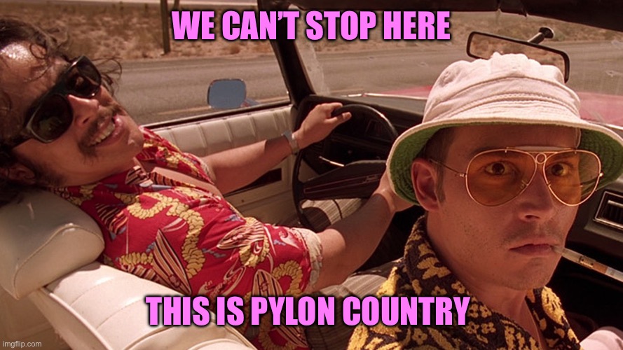 bat country | WE CAN’T STOP HERE; THIS IS PYLON COUNTRY | image tagged in bat country | made w/ Imgflip meme maker