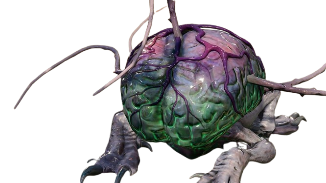 BG3 Us Blank Meme Template