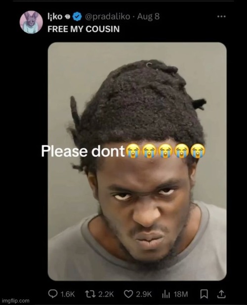 he did it | made w/ Imgflip meme maker