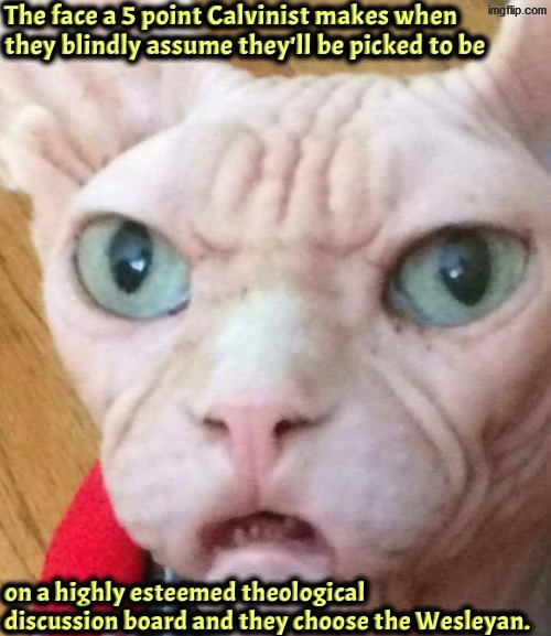 I know I'd choose them over a 5 point Calvinist with their fiendish unbiblical dogma | image tagged in calvinism,calvinist memes,anti calvinism,reformed theology,wesleyan,arminian | made w/ Imgflip meme maker