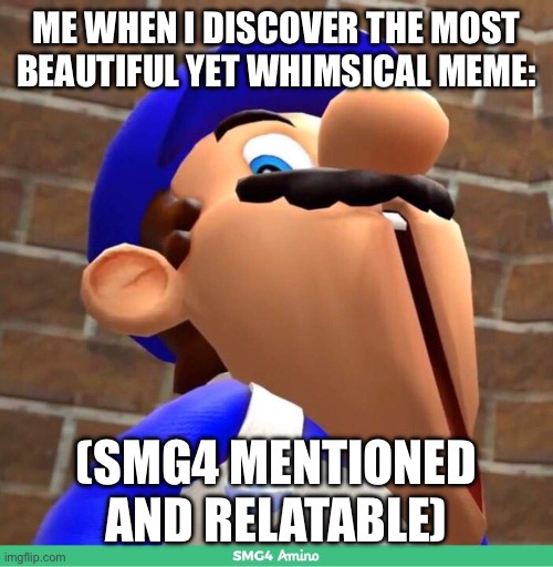 Memes make my day:) | ME WHEN I DISCOVER THE MOST BEAUTIFUL YET WHIMSICAL MEME:; (SMG4 MENTIONED AND RELATABLE) | image tagged in smg4's face,smg4 | made w/ Imgflip meme maker