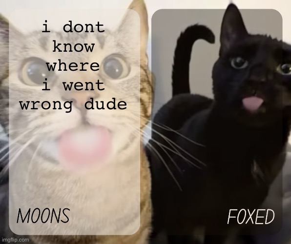 i dont care anymore | i dont know where i went wrong dude | image tagged in moons and foxed kitty temp | made w/ Imgflip meme maker