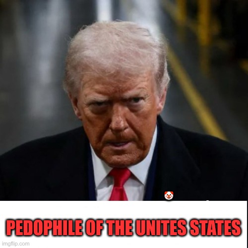 POTUS | PEDOPHILE OF THE UNITES STATES; 🤡 | image tagged in trump,gop,maga,nazi,fascist,pedophile | made w/ Imgflip meme maker