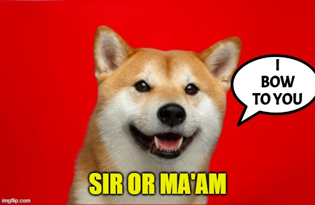 DogePadre Says | I BOW TO YOU SIR OR MA'AM | image tagged in dogepadre says | made w/ Imgflip meme maker