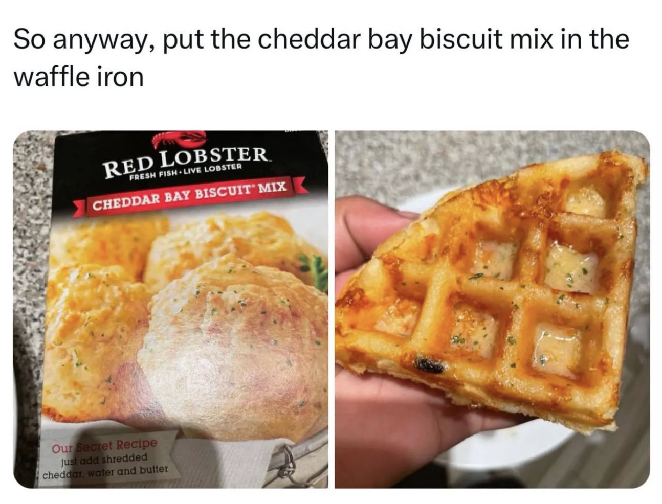 Red Lobster Biscuit Waffles Blank Meme Template