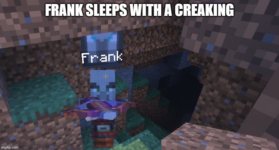 Pillager That Is An Illager Captain | FRANK SLEEPS WITH A CREAKING | image tagged in pillager that is an illager captain | made w/ Imgflip meme maker