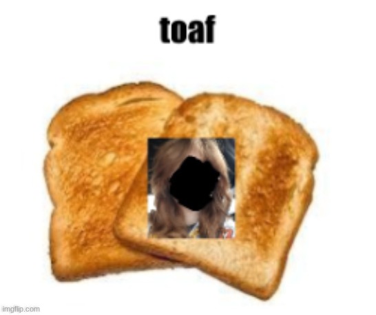 more toaf | image tagged in toaf | made w/ Imgflip meme maker