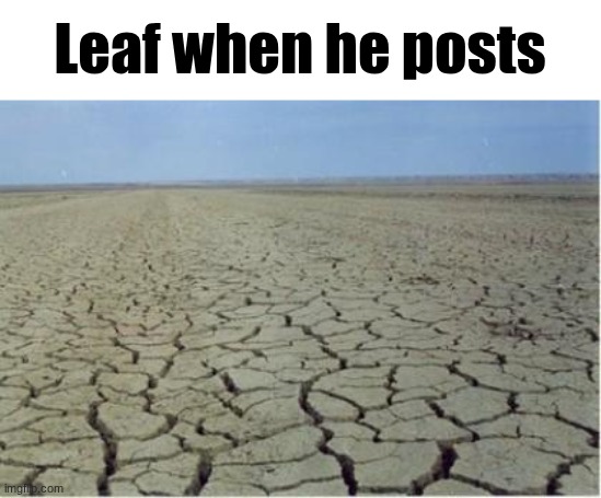 BarrenFields | Leaf when he posts | image tagged in barrenfields | made w/ Imgflip meme maker