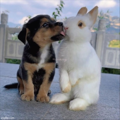 Me and her :333 | made w/ Imgflip meme maker