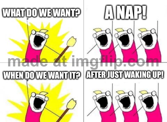 WHAT DO WE WANT? A NAP! WHEN DO WE WANT IT? AFTER JUST WAKING UP! | WHAT DO WE WANT? A NAP! WHEN DO WE WANT IT? AFTER JUST WAKING UP! | image tagged in memes,what do we want,catnap,nap,waking up,sleep | made w/ Imgflip meme maker