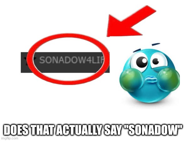 DOES THAT ACTUALLY SAY "SONADOW" | made w/ Imgflip meme maker