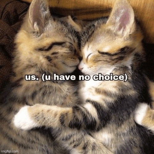 @-.D0ctor_S0mewhere.- | made w/ Imgflip meme maker