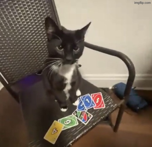 that's not fair they can see his fucking cards | made w/ Imgflip meme maker