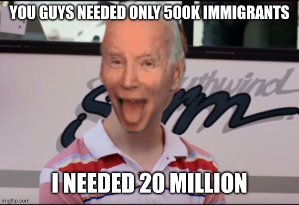 You Guys are Getting Paid | YOU GUYS NEEDED ONLY 500K IMMIGRANTS I NEEDED 20 MILLION | image tagged in you guys are getting paid | made w/ Imgflip meme maker