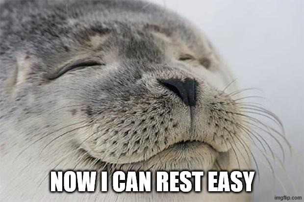 Satisfied Seal Meme | NOW I CAN REST EASY | image tagged in memes,satisfied seal | made w/ Imgflip meme maker