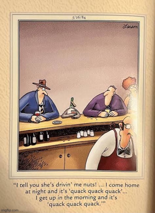A nagging duck wife… | image tagged in the far side,comics,bar,duck,complaint,wife | made w/ Imgflip meme maker