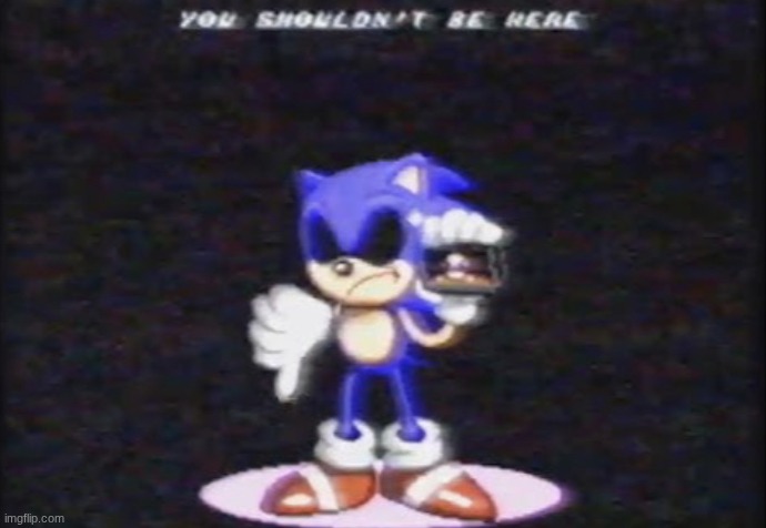 You shouldn't be here | image tagged in you shouldn't be here | made w/ Imgflip meme maker