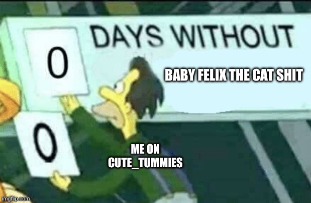 Come on, Megamantummy! | BABY FELIX THE CAT SHIT; ME ON CUTE_TUMMIES | image tagged in 0 days without lenny simpsons,baby felix,cats | made w/ Imgflip meme maker