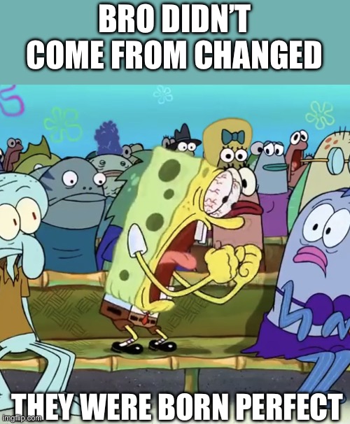 Spongebob Yelling | BRO DIDN’T COME FROM CHANGED THEY WERE BORN PERFECT | image tagged in spongebob yelling | made w/ Imgflip meme maker