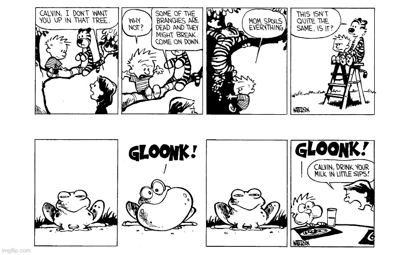 image tagged in calvin and hobbes,comics | made w/ Imgflip meme maker
