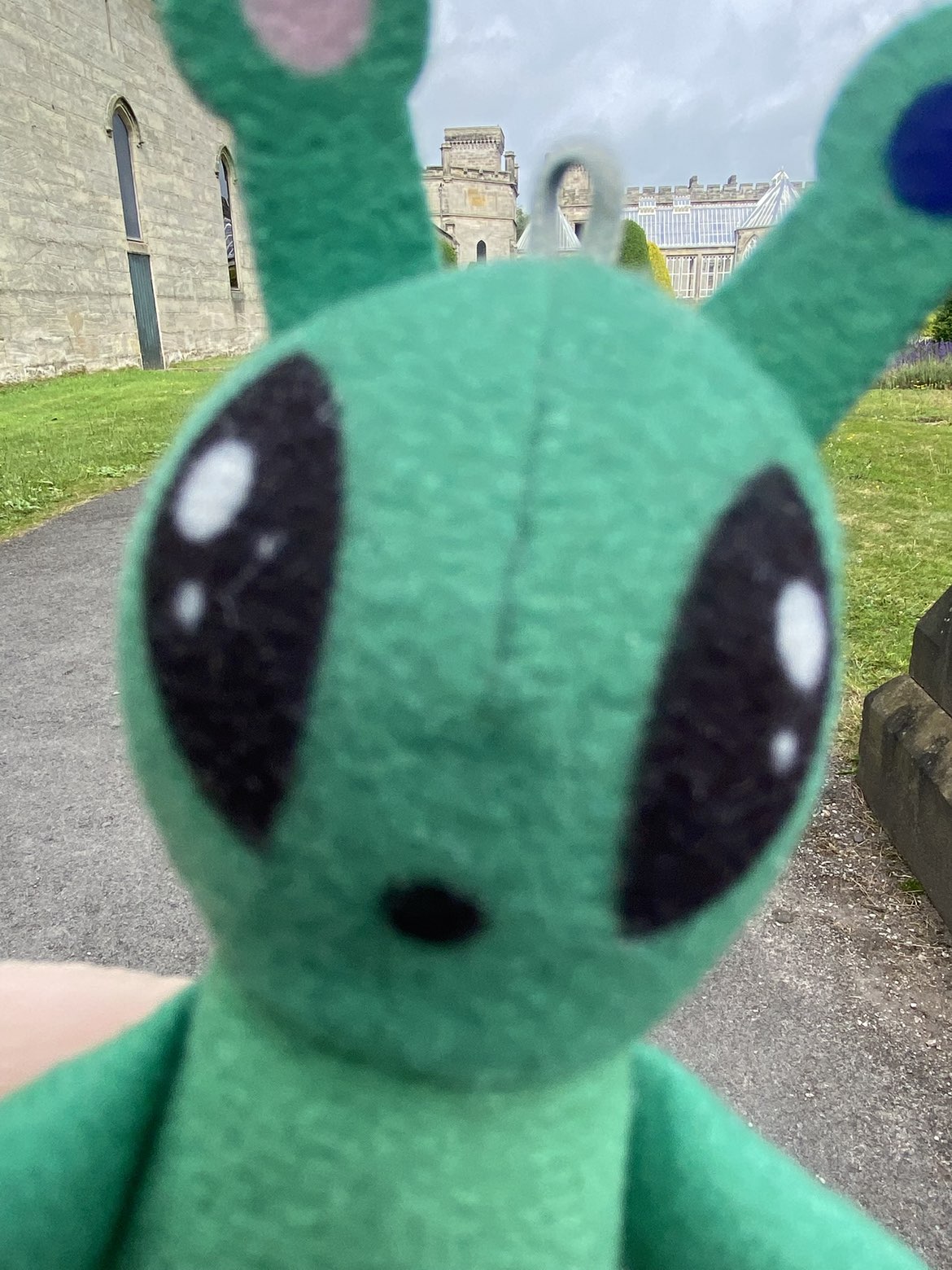 IKEA Alien Blank Meme Template